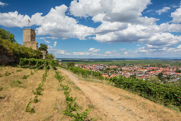 Wachtenburg bei schönstem Sommerwetter