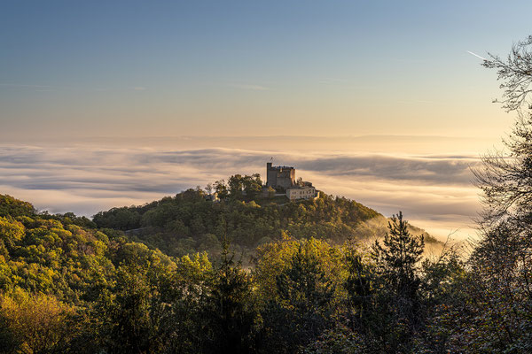 Zauberhafter Morgen am Hambacher Schloss