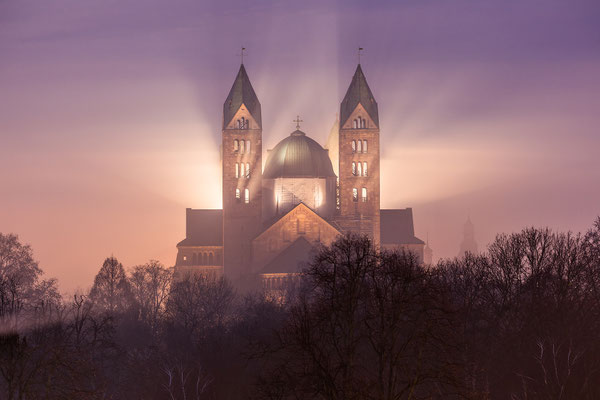 Speyerer Dom im Frühnebel