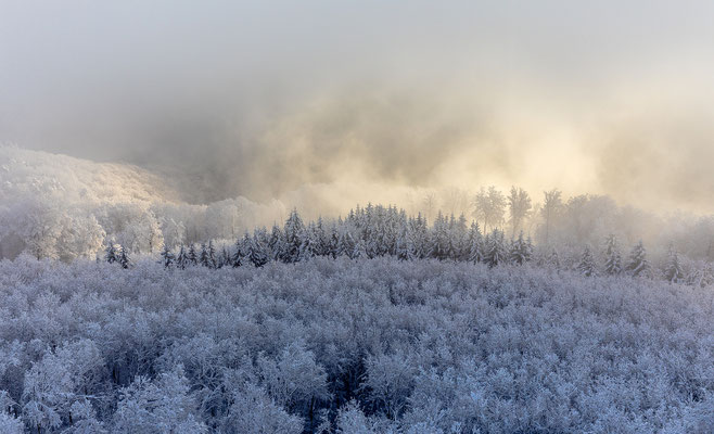 Neblige Schneelandschaft am Luitpoldturm