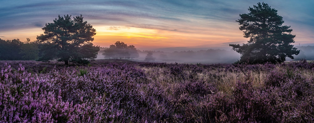 Frühherbst in der Mehlinger Heide