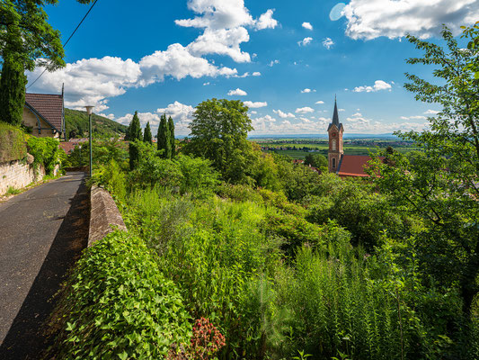Blick auf Haardter Kirche und die Rheinebene