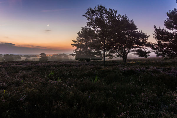 Mondaufgang in der Mehlinger Heide