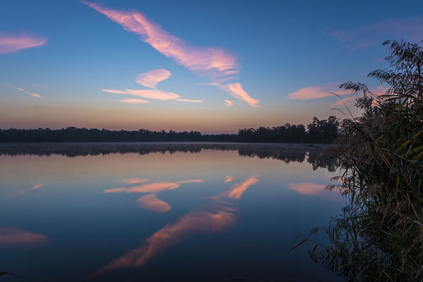 Morgendämmerung am Lambsheimer Weiher