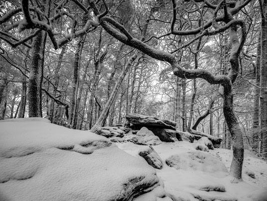 Winter auf der Kalmit