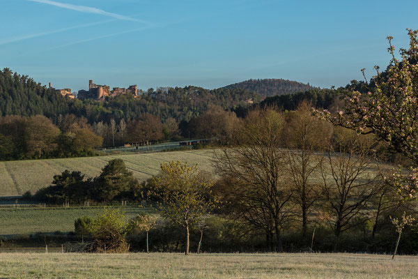 Blick auf die Ruine Altdahn