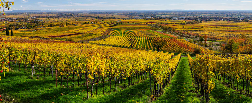 Herbststimmung um Sankt Martin