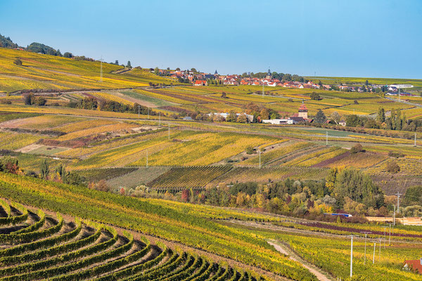 Blick auf Frankweiler im Herbst