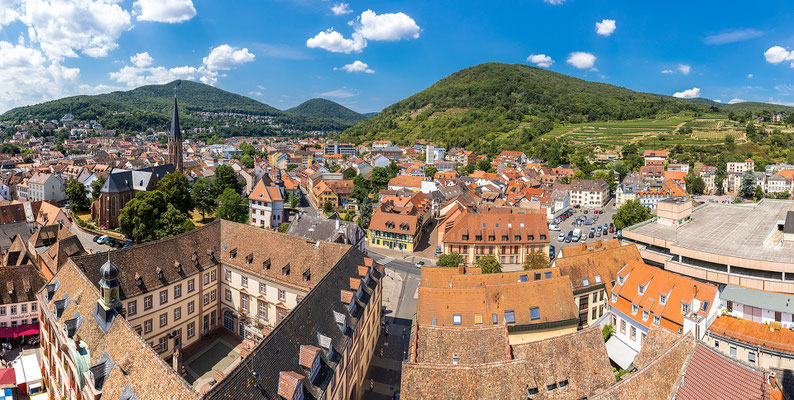 Ausblicke vom Turm der Stiftskirche