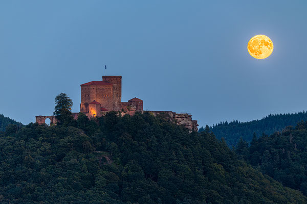 Vollmondaufgang über der Burg Trifels