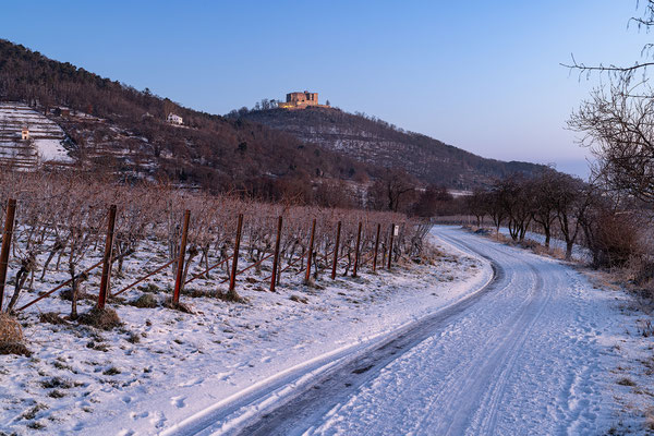 verschneite Aussichten aufs Hambacher Schloss