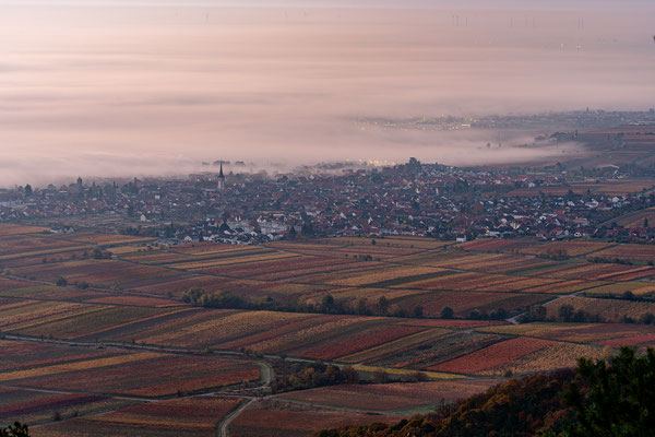 Nebelmorgen am Sühnekreuz