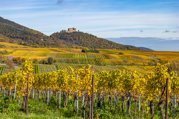Herbststimmung um Sankt Martin