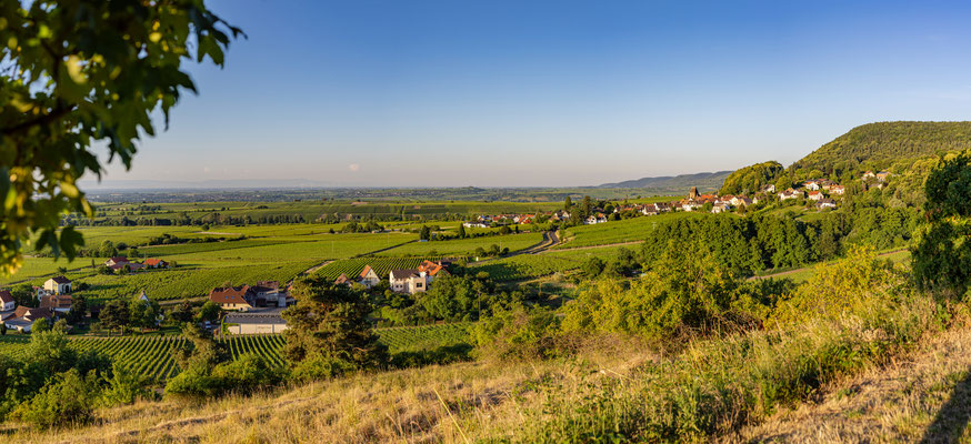 Gleisweiler im Morgenlicht