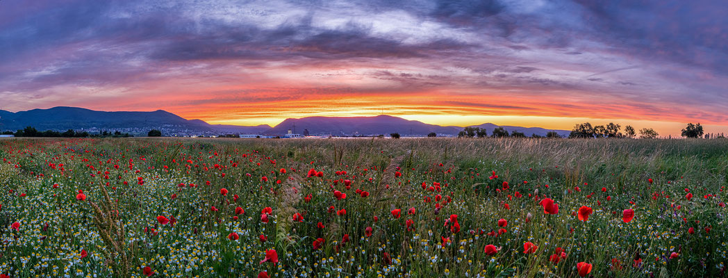Sonnenuntergang bei Neustadt