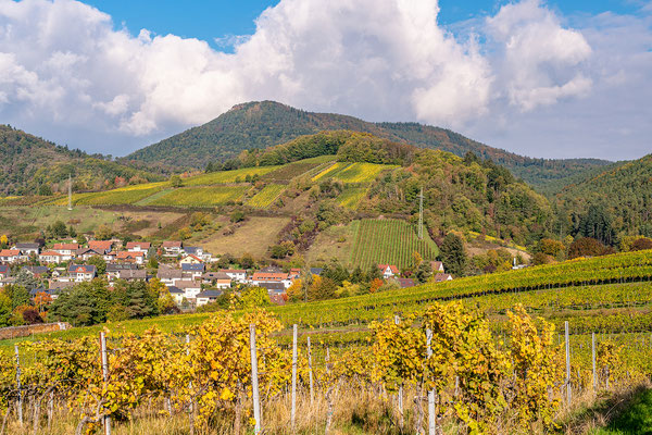 Goldener Herbst bei Albersweiler