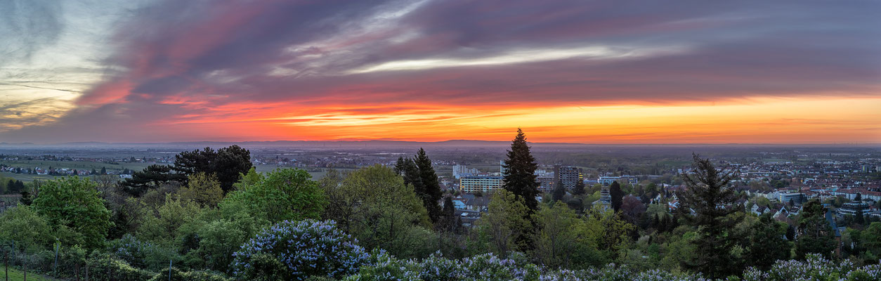 Sonnenaufgang über Neustadt