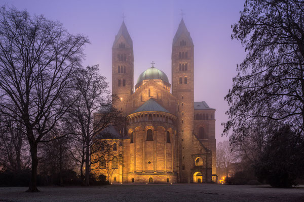 Speyerer Dom im Winternebel