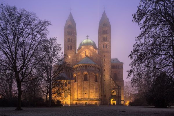 Speyerer Dom im Winternebel