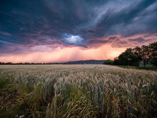 Gewitter über Neustadt