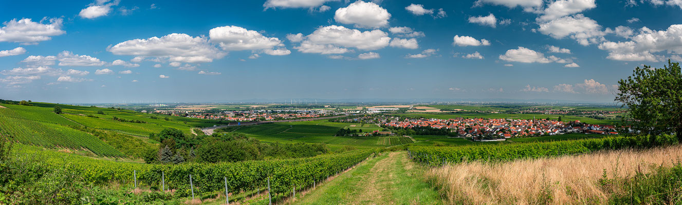 Ausblicke auf Grünstadt