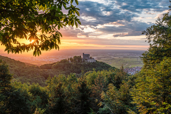Hambacher Schloss am frühen Morgen