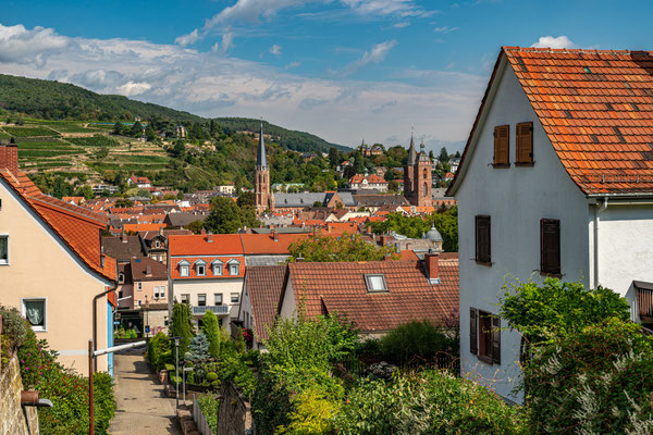 Stadtpanorama von Neustadt