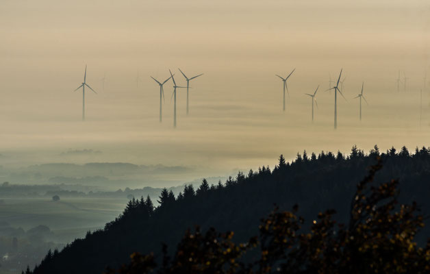 Windräder in nebliger Landschaft