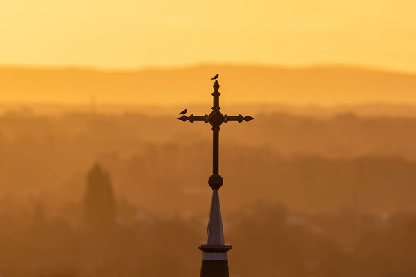 Sonnenaufgang über Neustadt