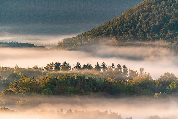 Nebelmorgen an den Geiersteinen