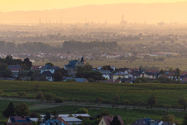 Sonnenaufgang über Neustadt