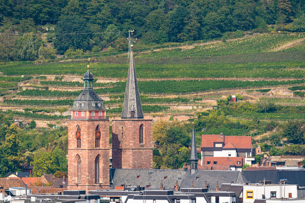 Blick auf die Stiftskirche