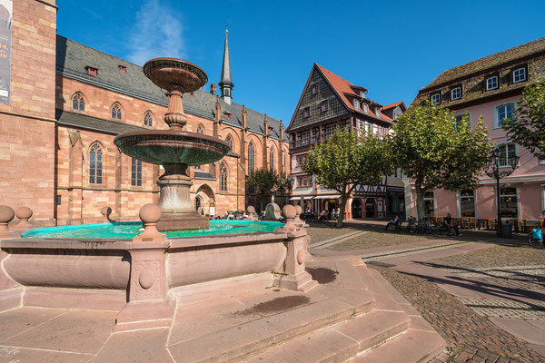 Auf dem Neustadter Marktplatz ....