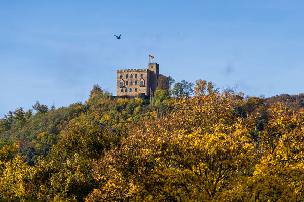 Hambacher Schloss im Herbstkleid