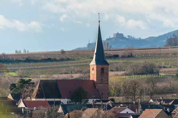 Blick auf Forst mit Hambacher Schloss im Hintergrund