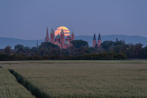 Vollmonduntergang hinter dem Speyerer Dom