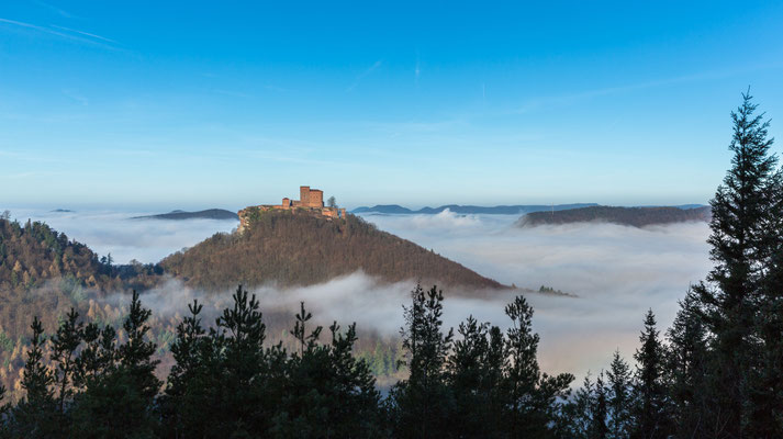 Burg Trifels über dem Nebel
