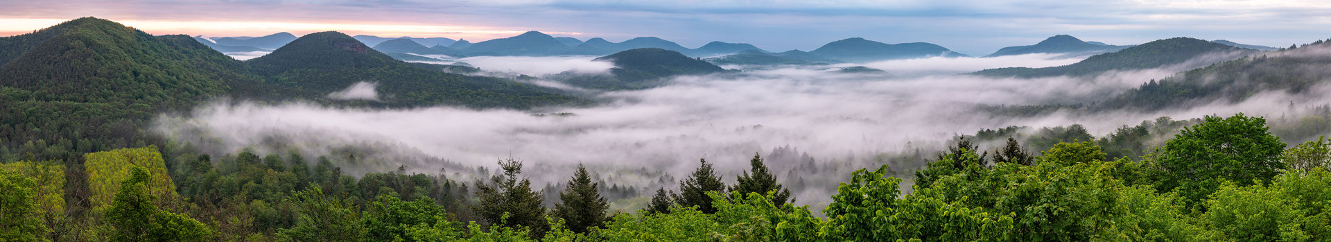 Nebelmorgen auf der Burgruine Lindelbrunn