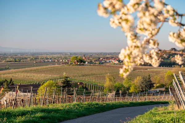 Weyher im frühen Morgenlicht