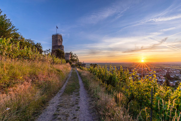 Sonnenaufgang an der Wachtenburg