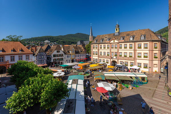 Markttreiben in Neustadt