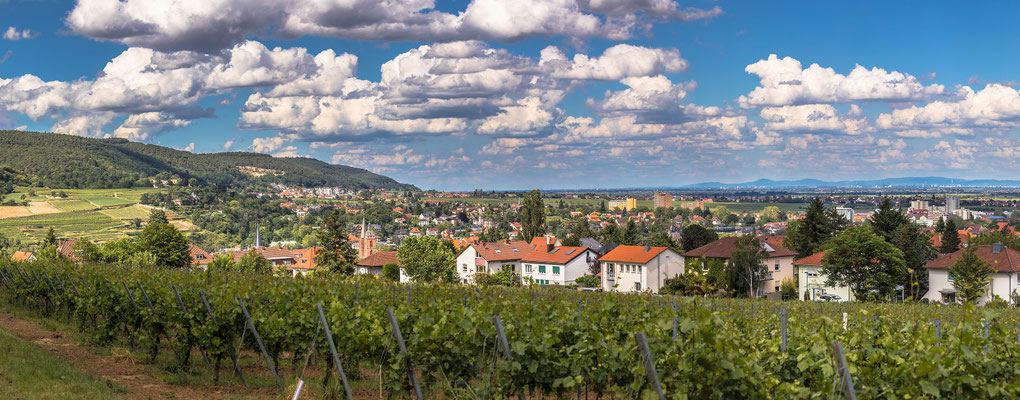 Blick über Neustadt