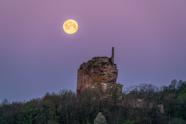 Vollmonduntergang hinter der Ruine Fleckenstein