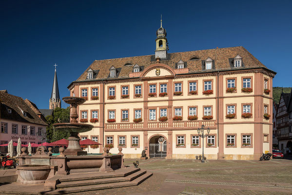 Marktplatz in Neustadt mit Rathaus
