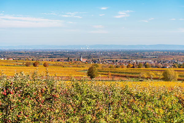 Goldener Herbst bei Sankt Martin