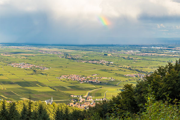 Nach dem Regen ... , Aluminium-Wechselrahmen, Fotodruck auf hochwertigem Hahnemühle-Papier mit Passepartout, 70 x 50 cm, 130 €
