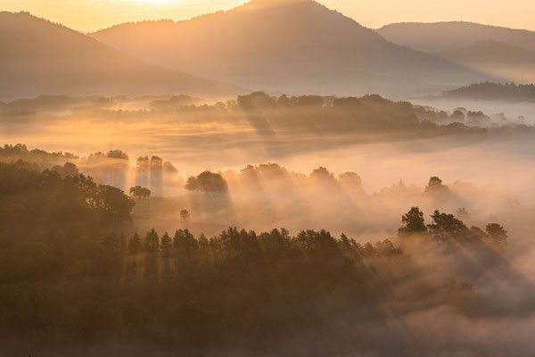 Nebelmorgen an den Geiersteinen