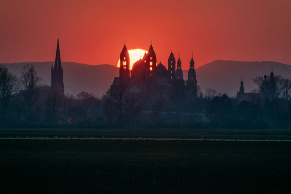 Sonnenuntergang hinter dem Speyerer Dom