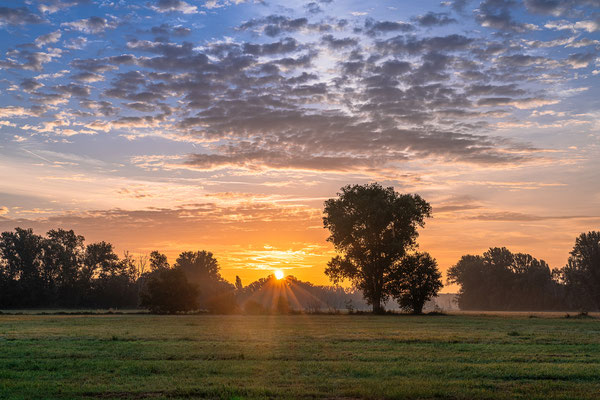 Sonnenaufgang bei Geinsheim