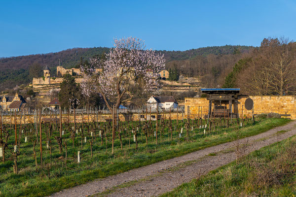 Vofrühling bei Haardt